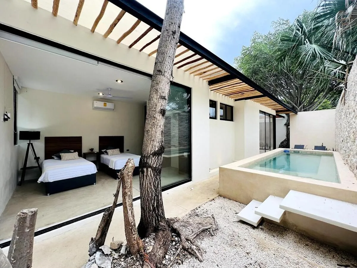 Villa Lux In The Center Of Merida, Swimming Pool