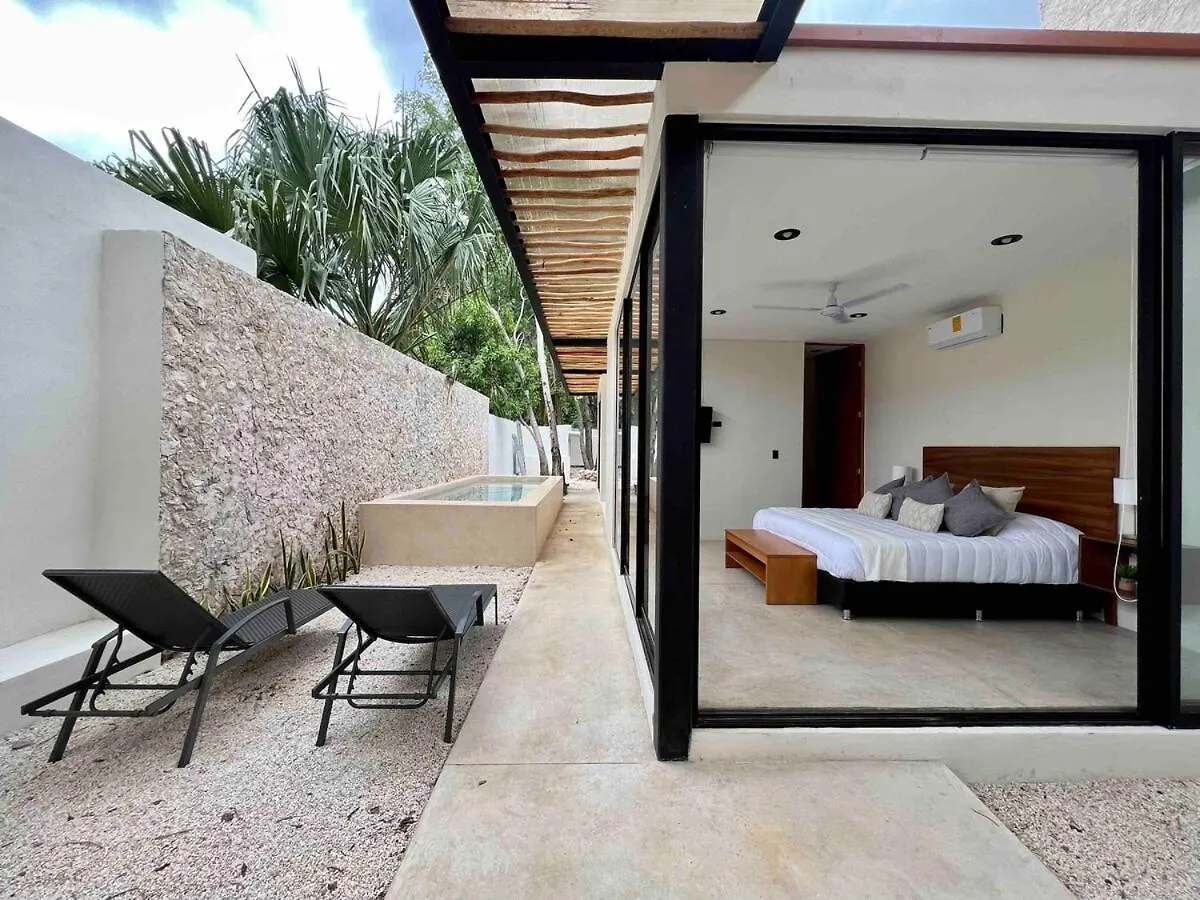 Lux In The Center Of Merida, Swimming Pool Villa